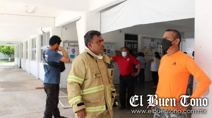 Abejas Africanas Atacan A Estudiantes De Preparatoria En Campeche El