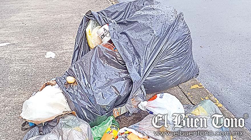 Vecinos Denuncian Basura En Banquetas NO HAY SANCIONES El Buen Tono