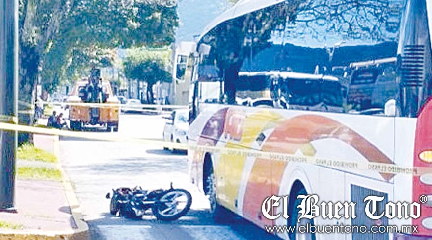 Mata Au A Una Motociclista Su Acompa Ante Resulta Herido El Buen Tono