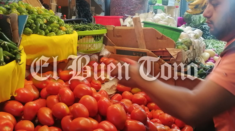 Heladas Aument A Pesos El Kilo De Jitomate El Buen Tono