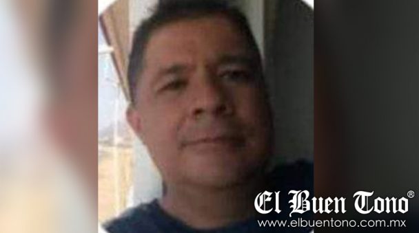 Muere Al Ser Atacado Por Abejas El Buen Tono