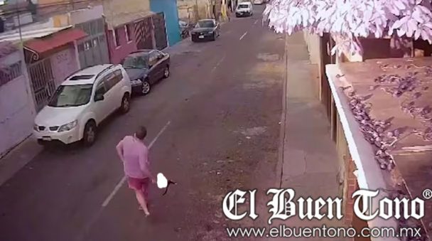 Despiden a sujeto que lanzó un gatito en Querétaro El Buen Tono