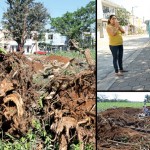 ecocidio en los arcos