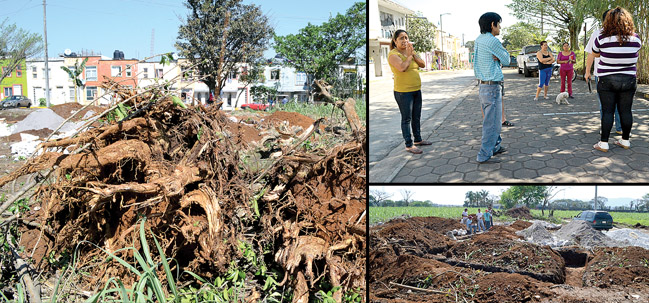 ecocidio en los arcos