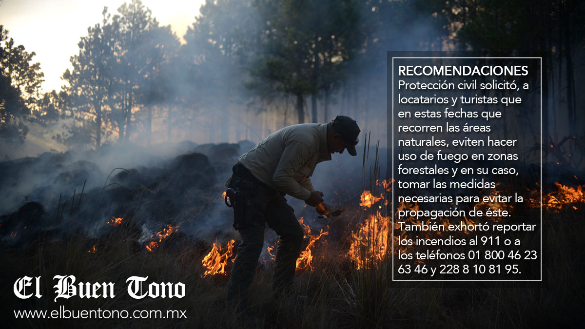 Registra Veracruz tres incendios en lo que va del año - El ...