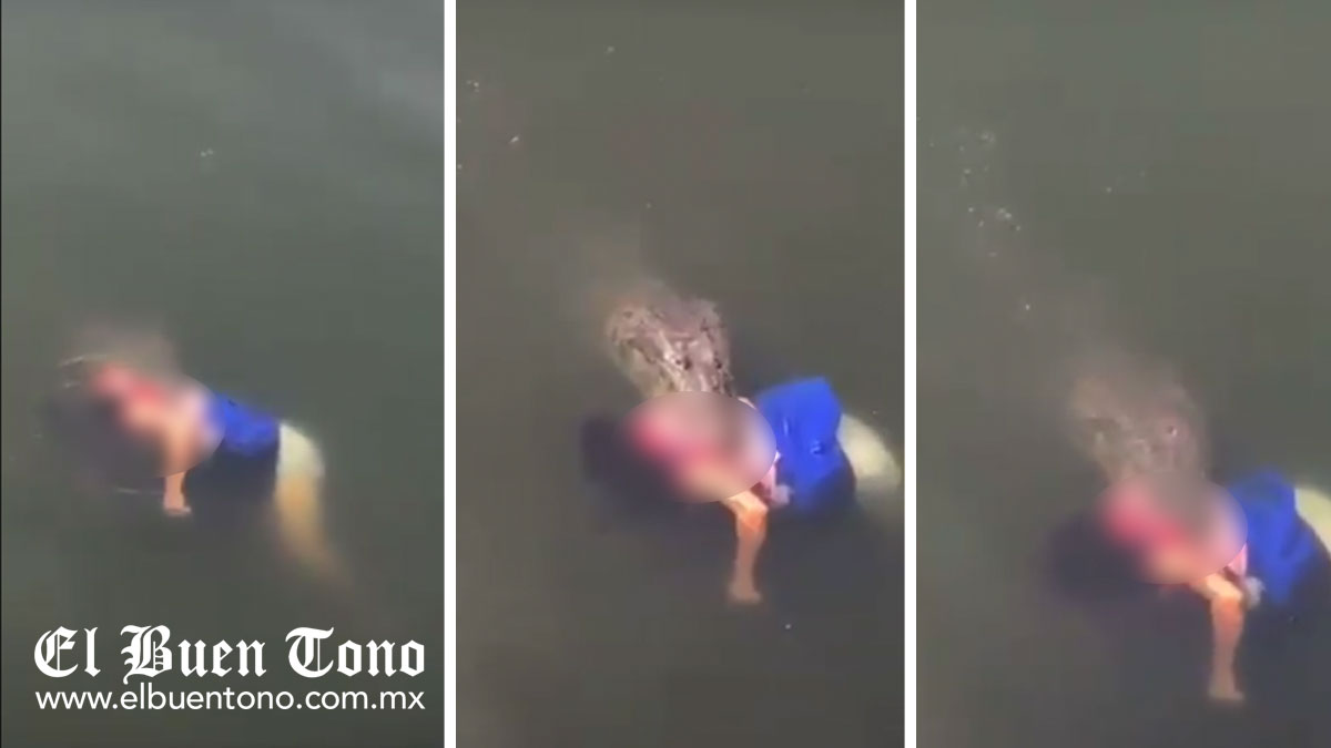 VIDEO: Cocodrilo mata a una mujer en laguna de Tampico – El Buen Tono